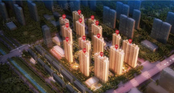 优活新天地第1张图