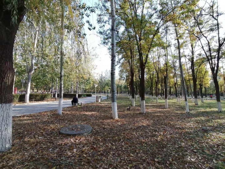 建邦顺颐府配套图