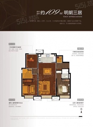 3室2厅2卫户型详情