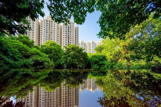 丽都壹号峯境第24张图