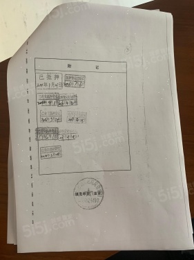 丽都壹号峯境第22张图