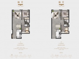 2室2厅1卫户型图