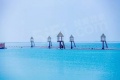 新湖绿城海上明月配套图相册大图