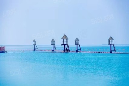 新湖绿城海上明月配套图