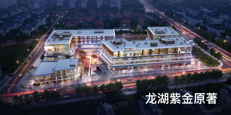 龙湖紫金原著商铺效果图