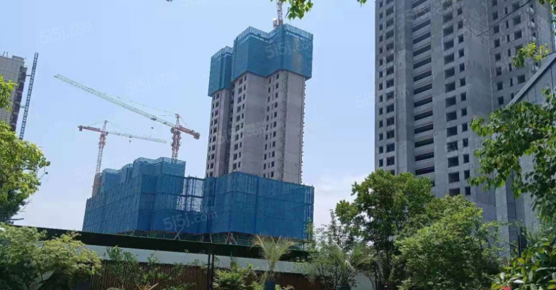 保利观棠和府实景图