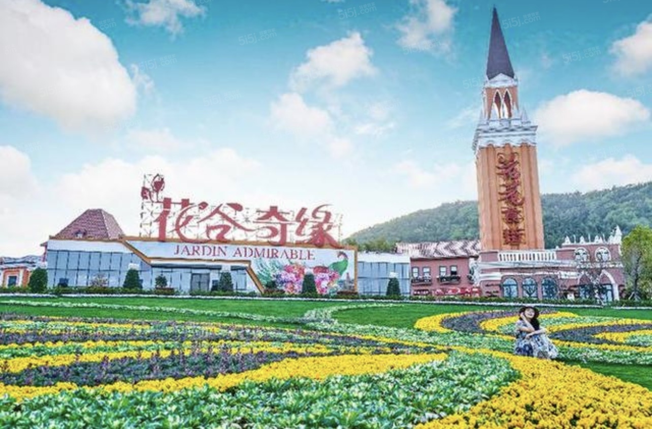 高德庄园配套图