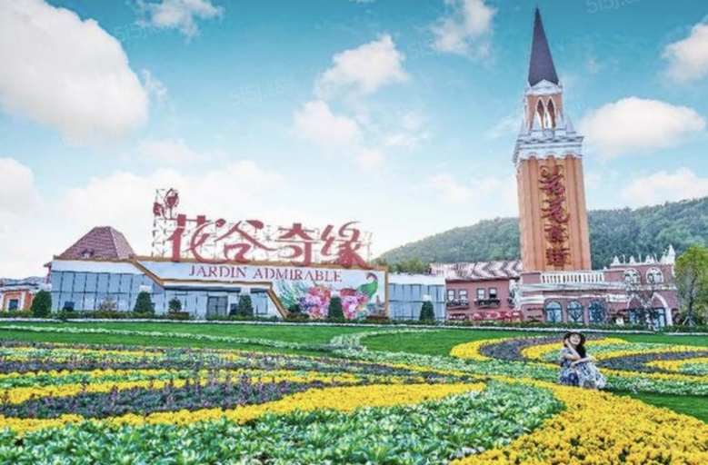 高德庄园配套图