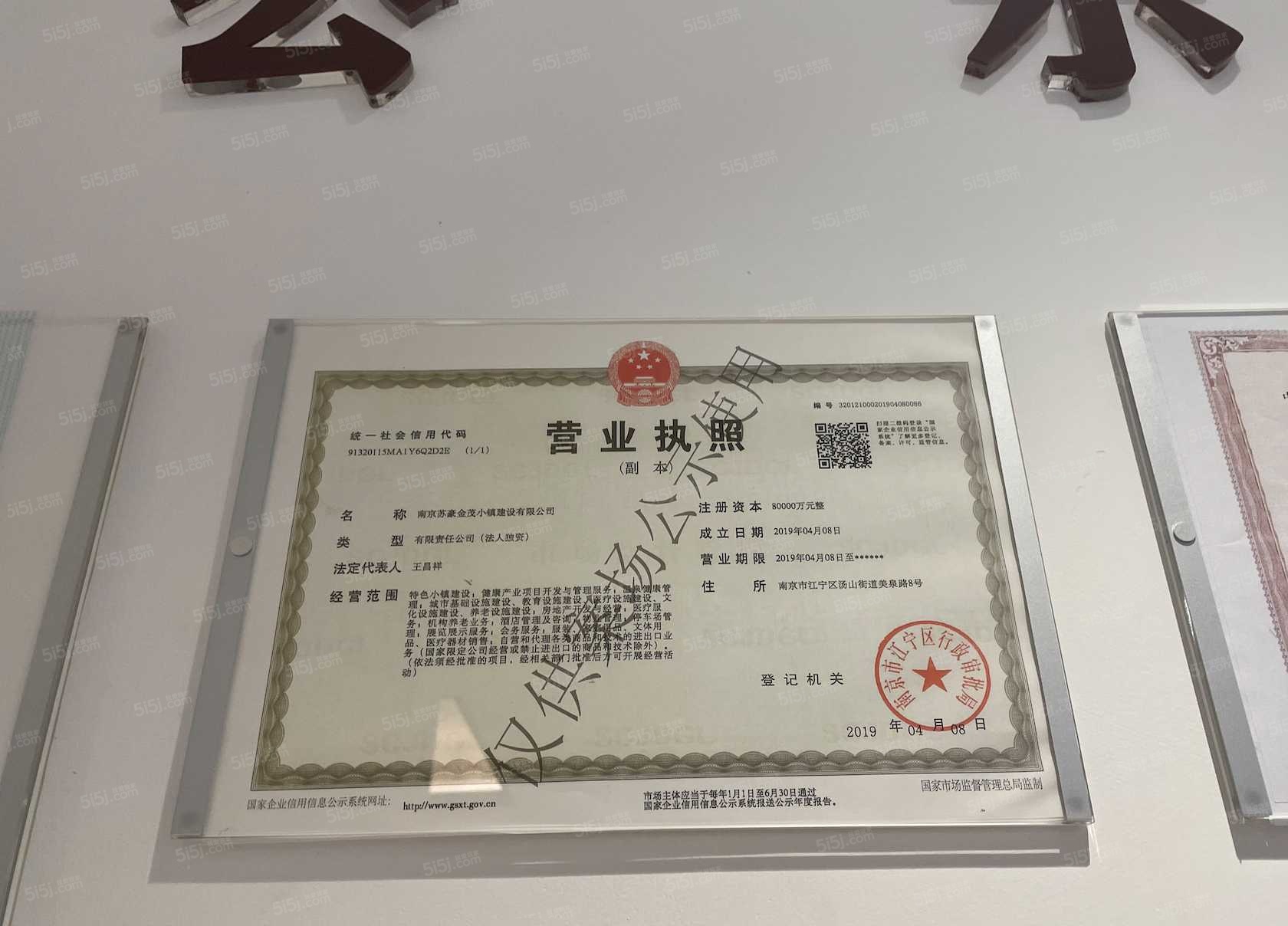 汤山温泉康养小镇开发商营业执照