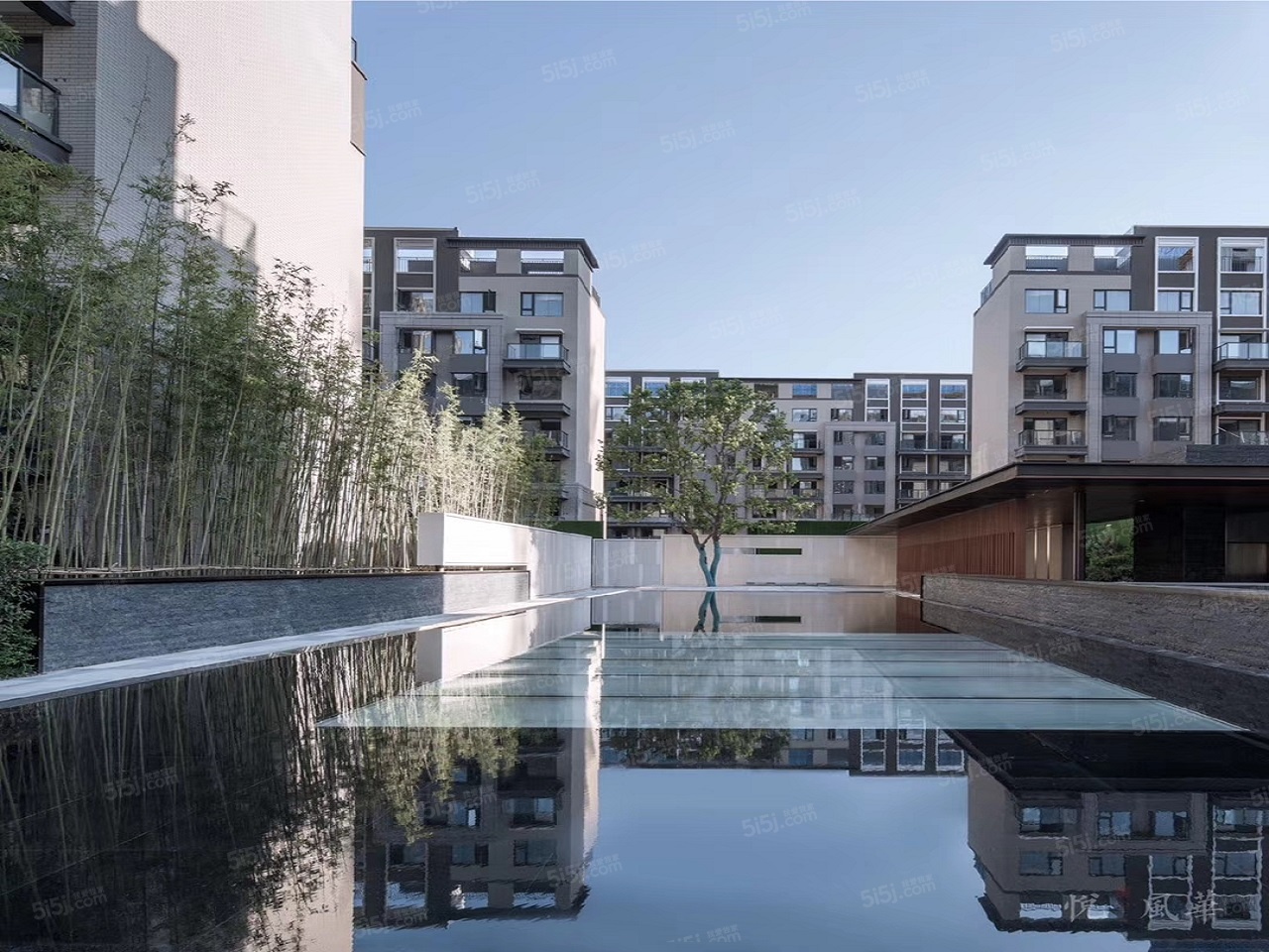 金地保利悦风华实景图