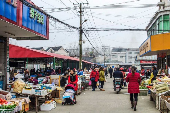 中证泉悦春风第11张图
