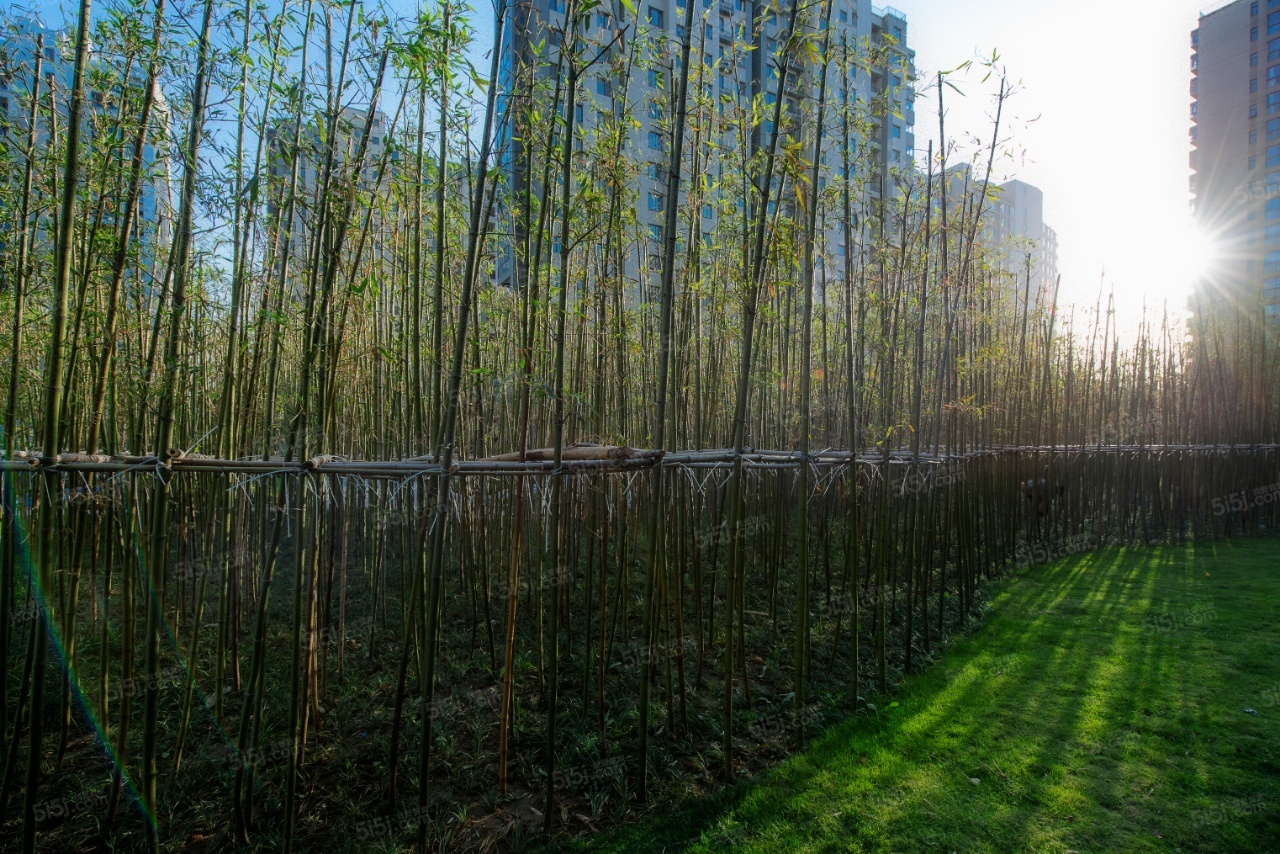 泰达青筑实景图