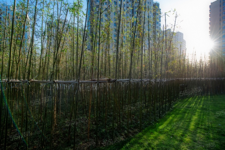 泰达青筑实景图