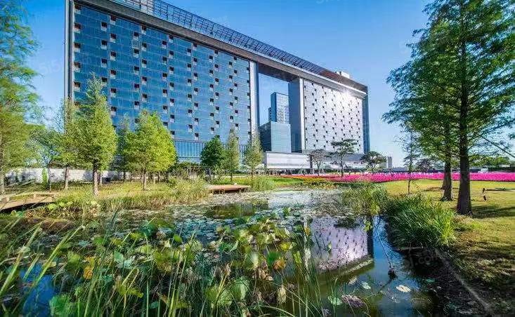 南京涵碧楼实景图