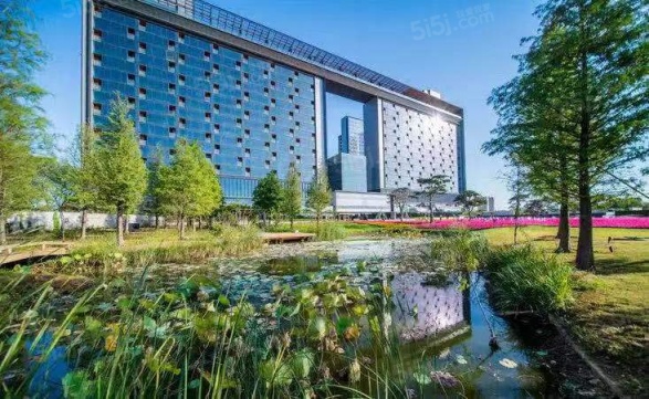 南京涵碧楼第13张图