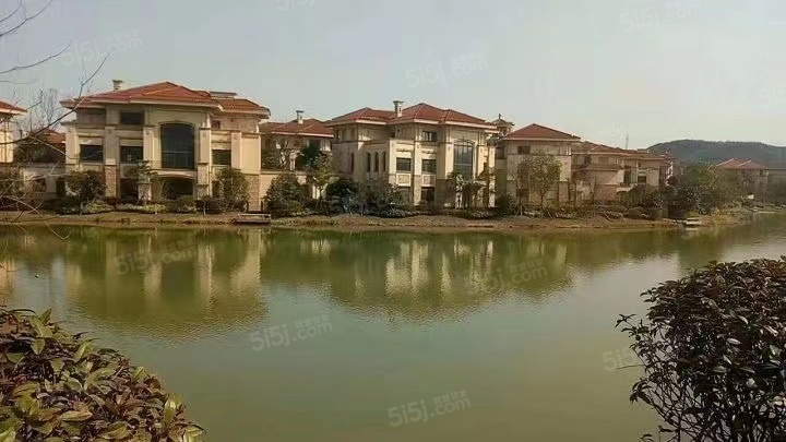 高德庄园实景图