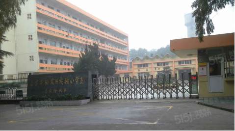 仙林国际配套图