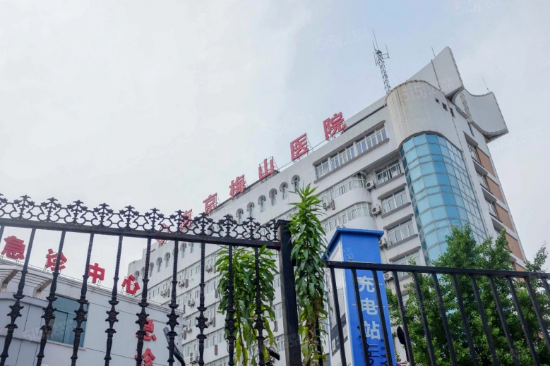 星叶欢乐城配套图