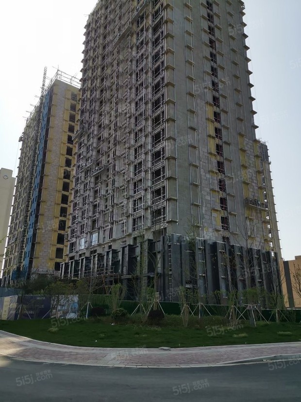 东亚青珑寓实景图