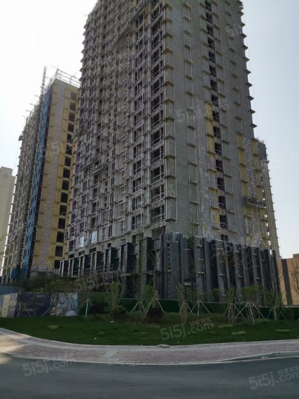 东亚青珑寓实景图