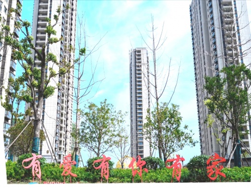 北外滩水城第28张图