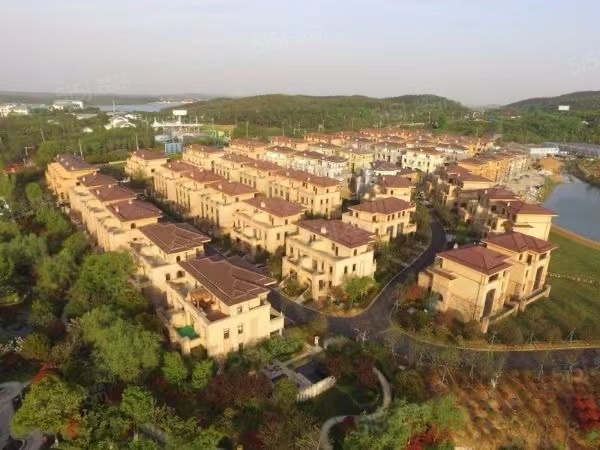 高德庄园实景图