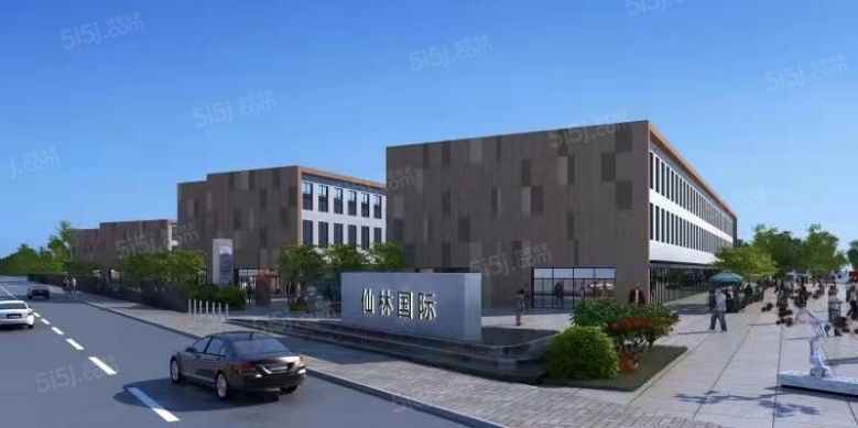 仙林国际实景图