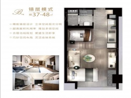 1室1厅1卫户型图