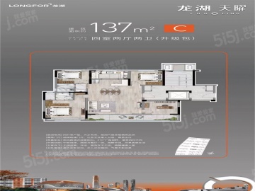 龙湖天曜4室2厅2卫