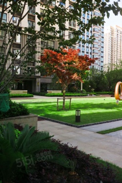 紫麒府第12张图