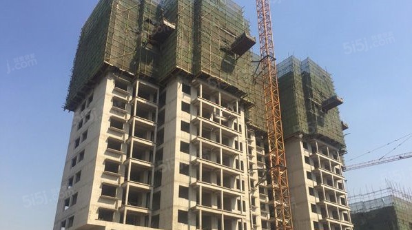 大华国展公园世家实景图