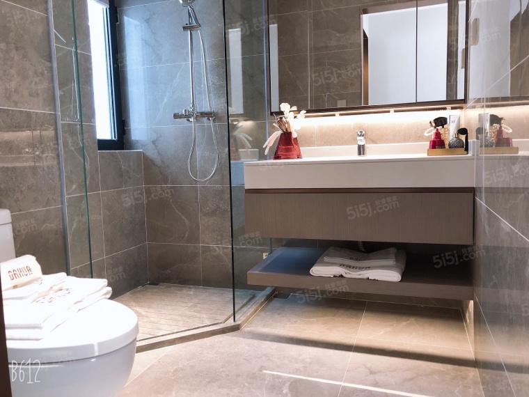 大华国展公园世家样板间