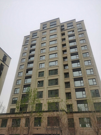 上东金茂悦实景图