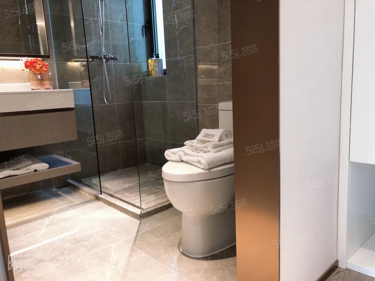 大华国展公园世家样板间