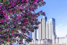 中海城市广场钻石湾开发商营业执照相册