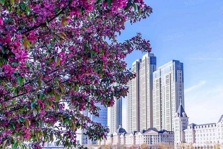 中海城市广场钻石湾实景图