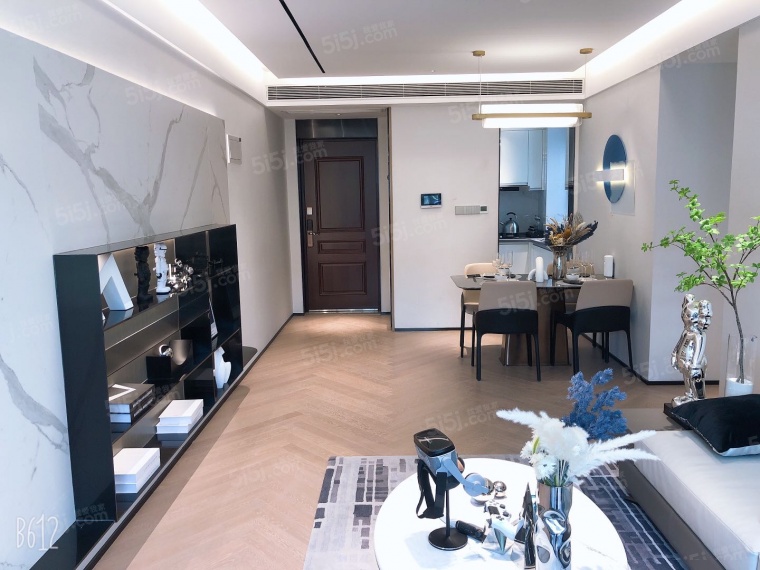 大华国展公园世家样板间