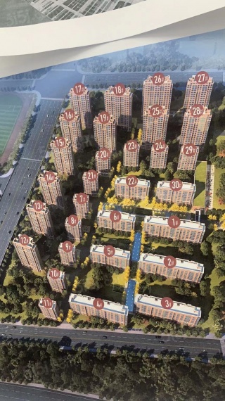 大华国展公园世家效果图