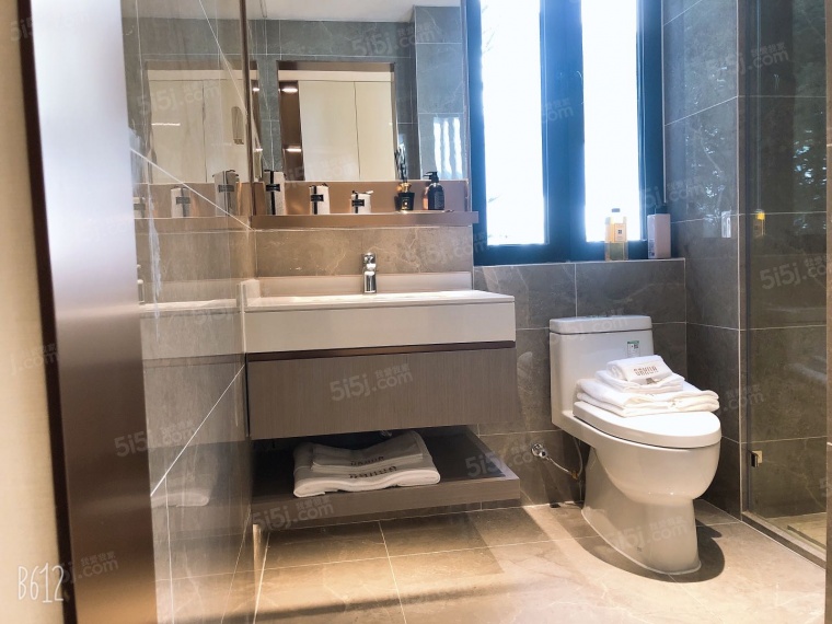 大华国展公园世家样板间