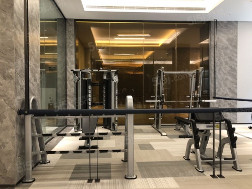 紫郡兰园第15张图