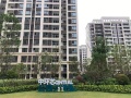 望熙雅苑实景图相册大图