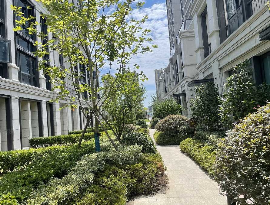 柳岸晓风实景图