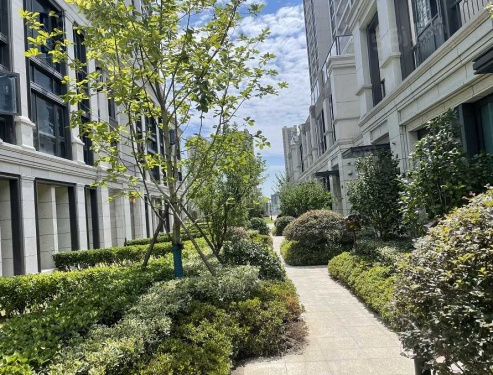 柳岸晓风第7张图