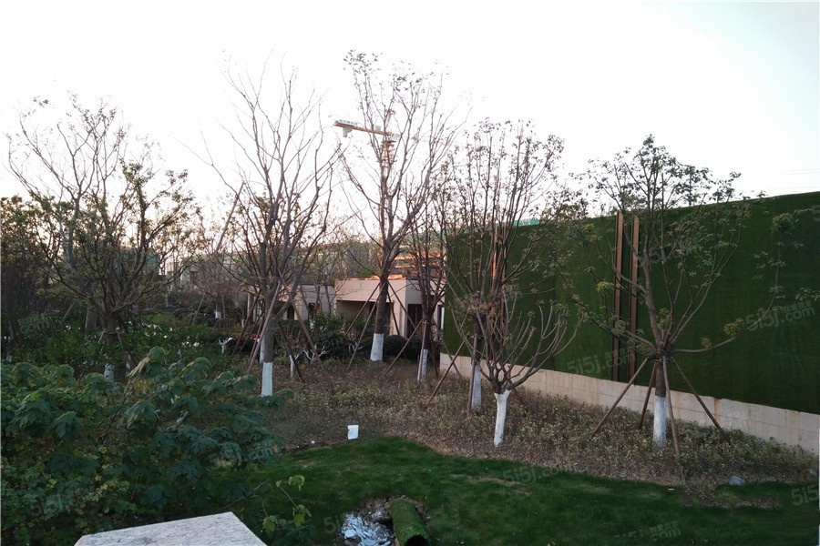 鲁能公馆配套图