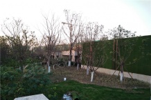 鲁能公馆开发商营业执照相册