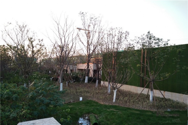 鲁能公馆配套图