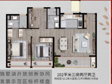 3室2厅2卫户型详情
