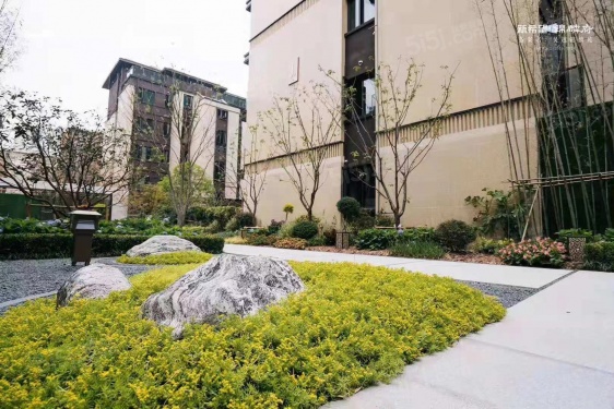 新希望锦麟府第14张图