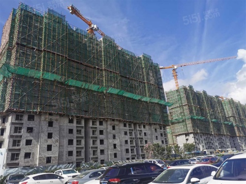 越秀相悦四季雅苑第13张图