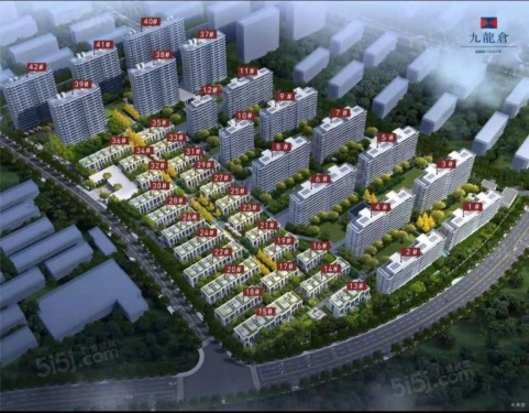 九龙仓天灏第3张图